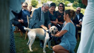 Fire Performer Wedding Video Cornwall The Green